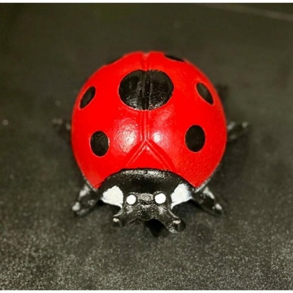 Cast Iron Ladybug Key Hider Hidden Key Holder for Indoor Outdoor